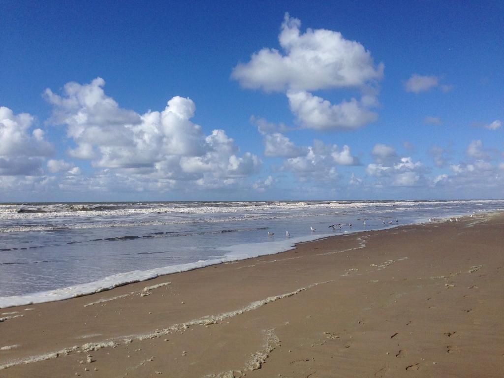 Berrie'S Sea View Appartement Zandvoort Buitenkant foto